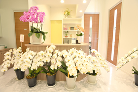 すだ接骨院　受付風景2